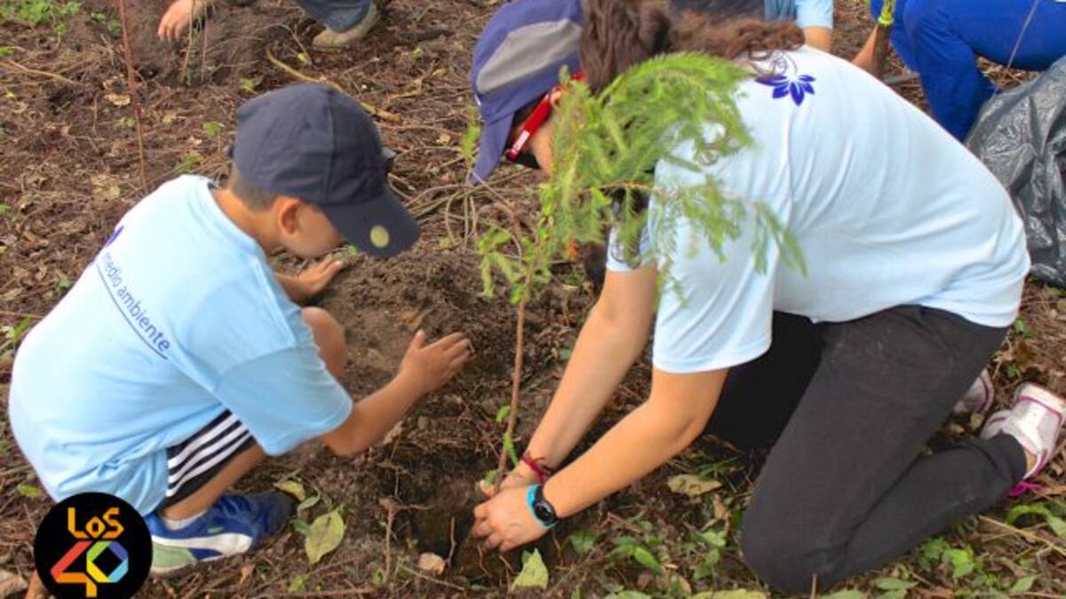 Los 40 solidarios reforestando Guadalajara