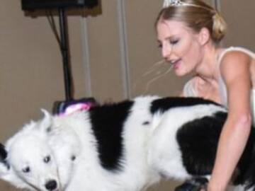 Baila su vals de bodas con su perrito