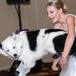 Baila su vals de bodas con su perrito