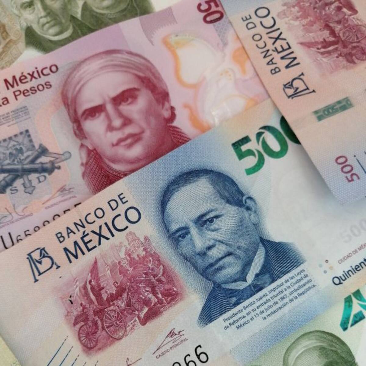 La nueva imagen en los billetes de 50 que te sacaran una sonrisa