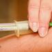 Sangre tipo O es más resistente al Coronavirus