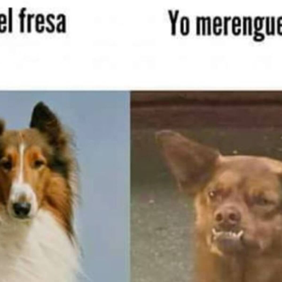 ¿Quién es Chilaquil y por qué todos hablan de él?