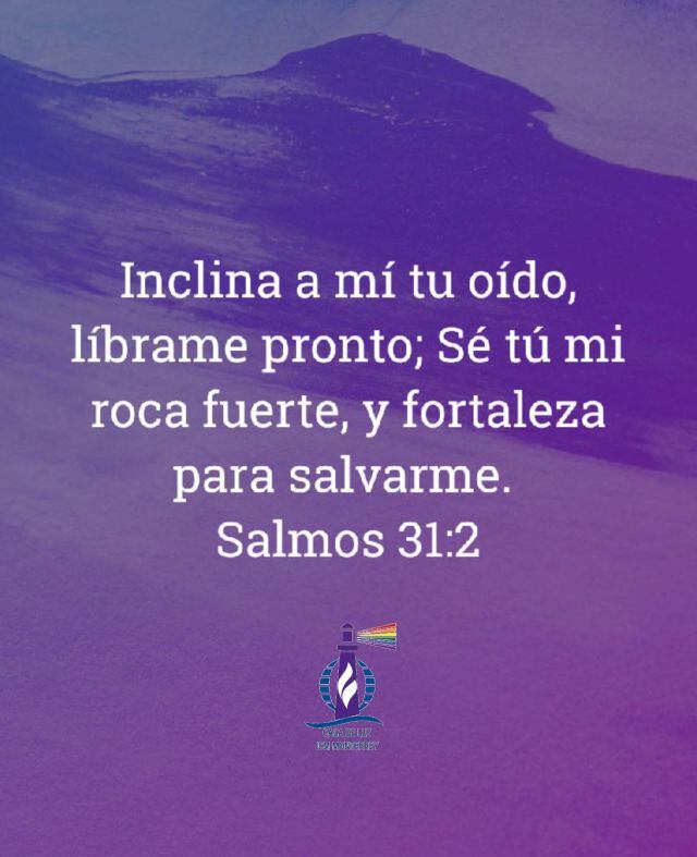 La Casa de Luz ha decidido también predicar con el ejemplo y los valores
