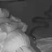 Serpiente ataca a una mujer mientras duerme
