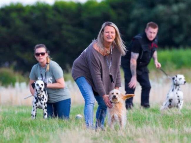 Afortunadamente, Bobbie cayó en buenas manos