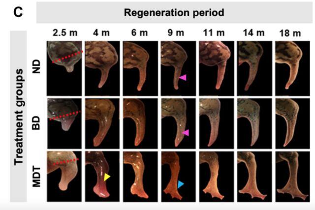 Un gran avance para la ciencia