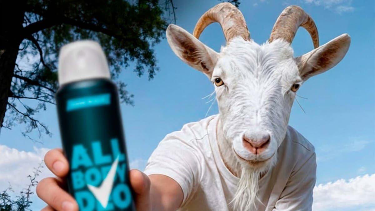 El fenómeno Therian: De la identidad digital a la cultura popular y campañas de marketing