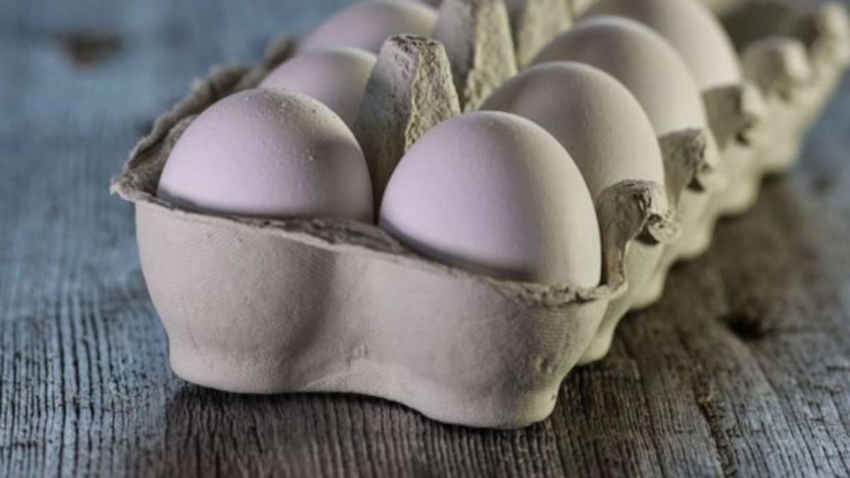 Come 50 huevos por una apuesta con su amigo y muere