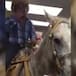Entra con su caballo a minisúper a comprar cervezas