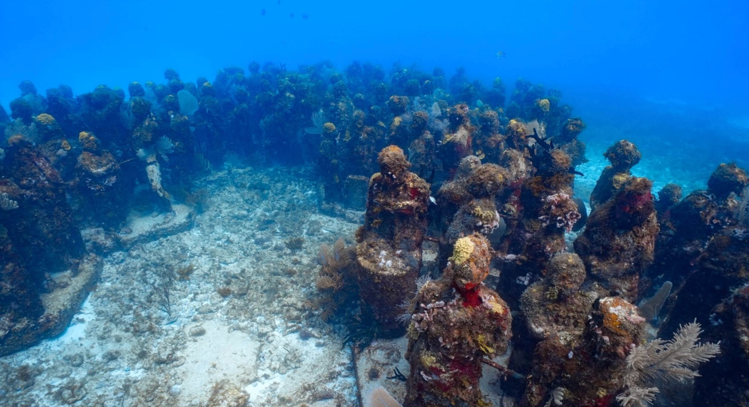 Museo de Arte Subacuático