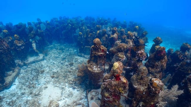 Museo de Arte Subacuático