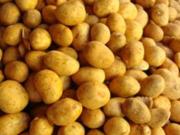 Venden “cacahuates mexicanos” en Japón