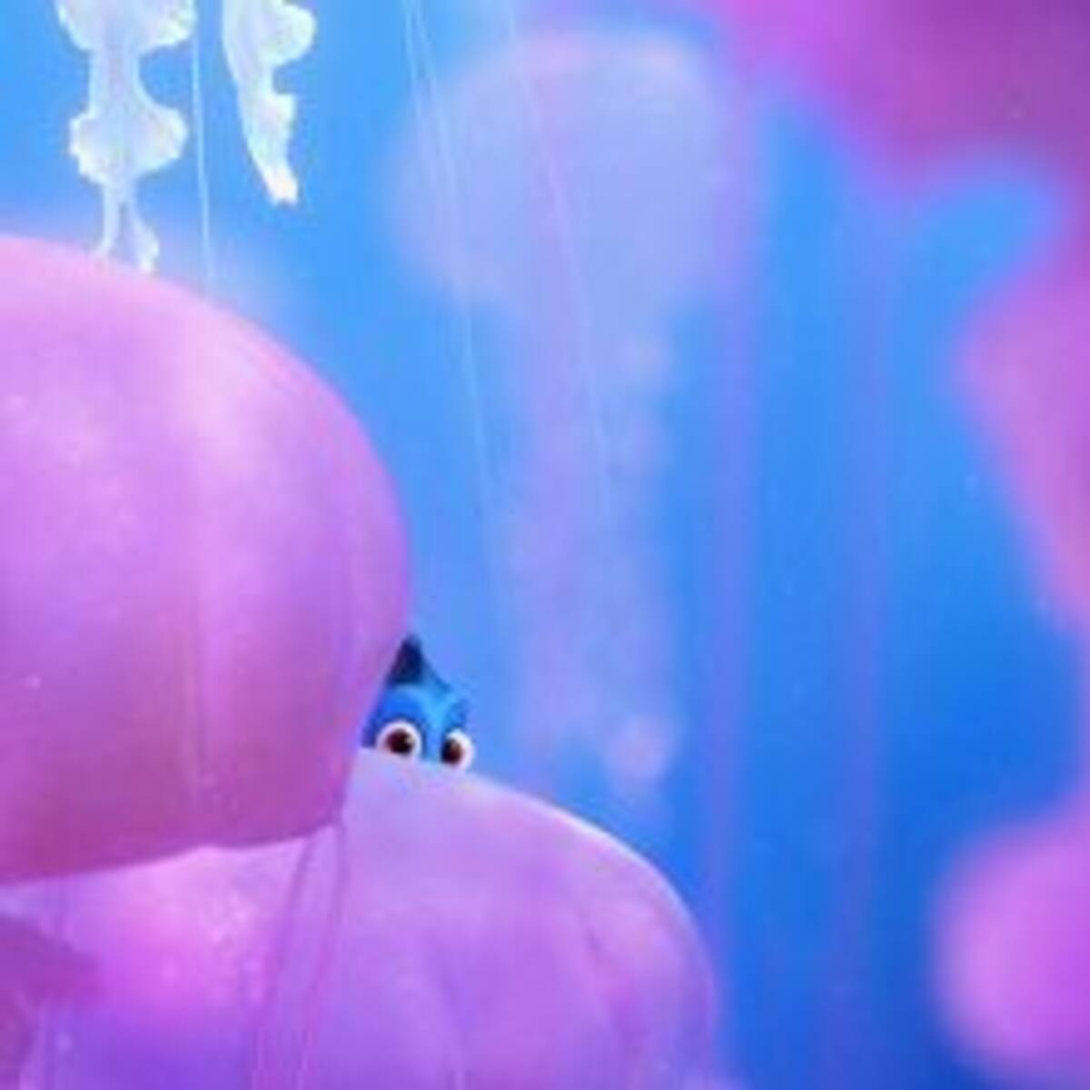 Encuentra a Dory en los nuevos pósters de su película