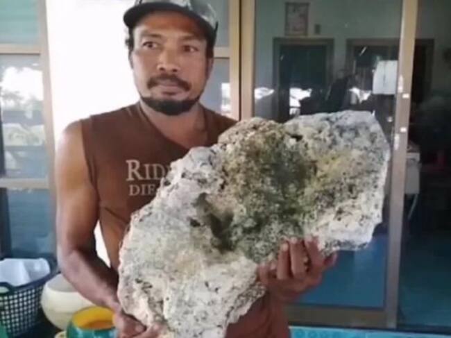 Encontraron ámbar gris en una ballena, ahora son millonarios