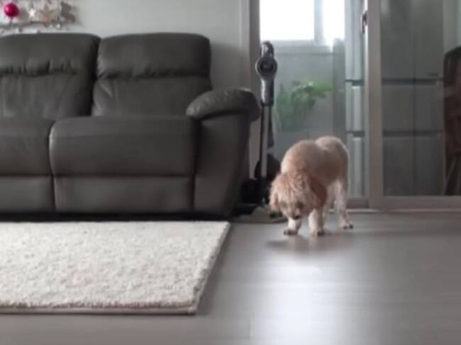 Duerme muy poquito y no descansa