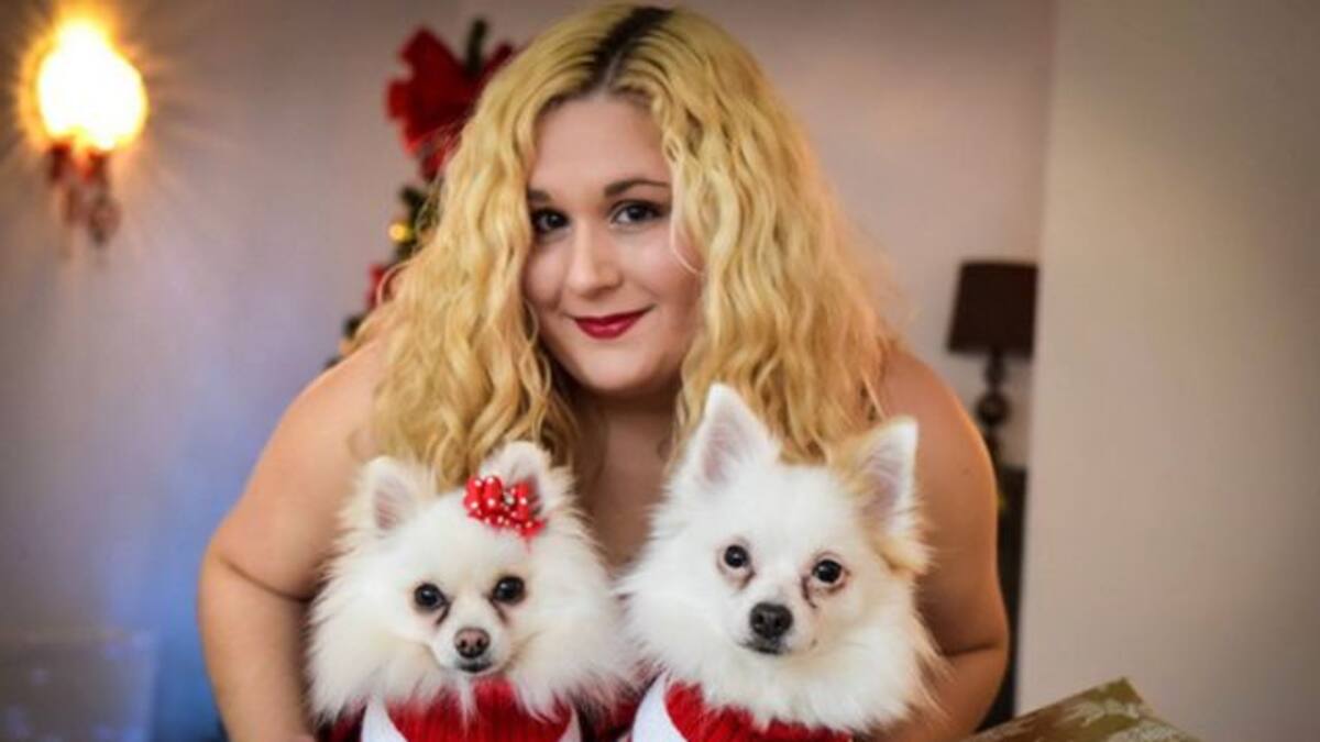 Perros llenos de lujos