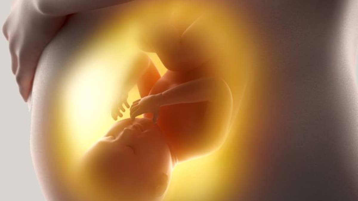 Bebé saluda a sus papás en ultrasonido