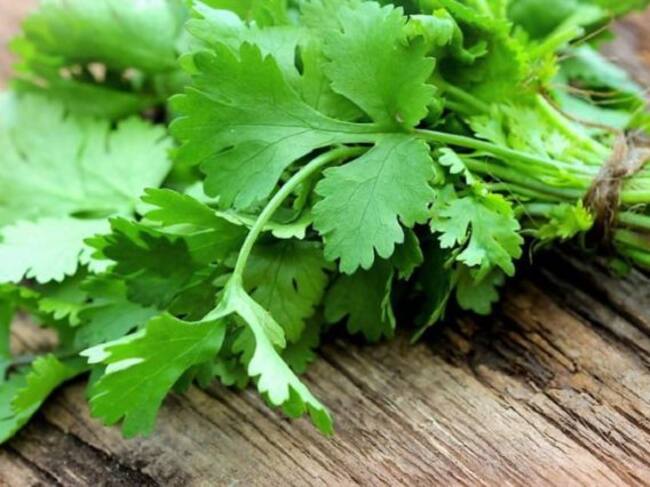 El cilantro era de la propia cosecha del abuelo