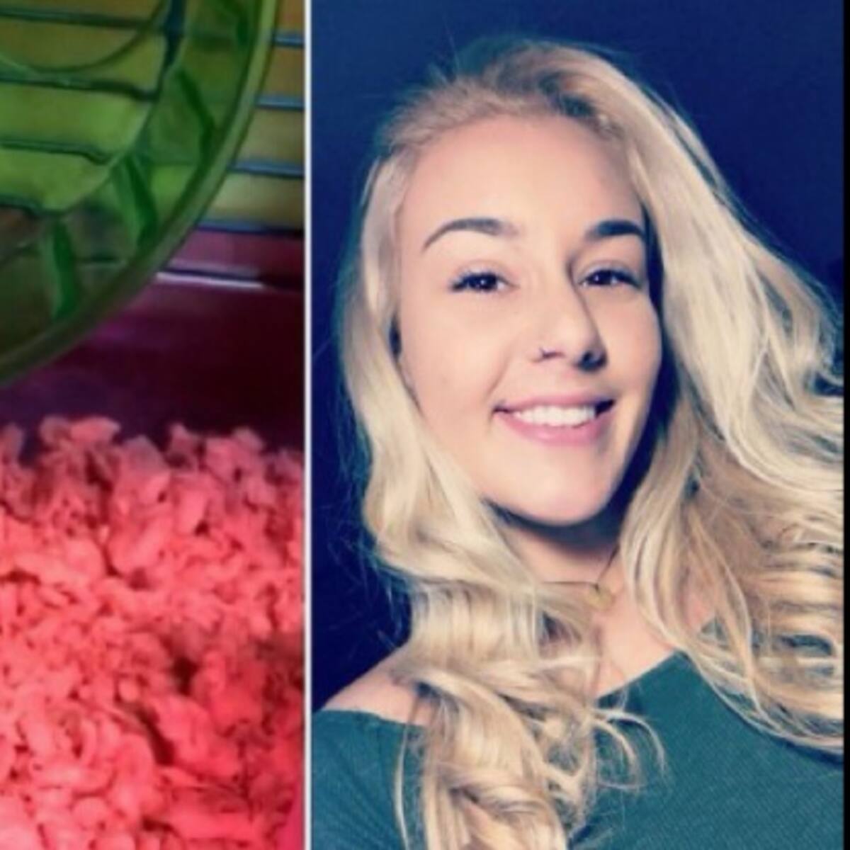 Joven es obligada a tirar su hamster por el inodoro