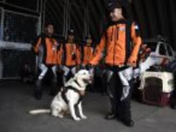 Fotos que demuestran la solidaridad de México ante el sismo