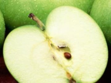 La verdadera fruta prohibida de la biblia