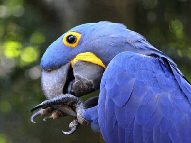 Fotografía: El Sol de México