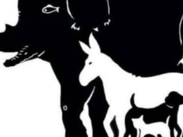 Solución al reto visual: ¿Cuántos animales ves en esta imagen?