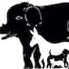 Solución al reto visual: ¿Cuántos animales ves en esta imagen?