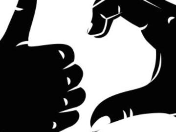 #Top Ten: Na’mas no le importas cuando…