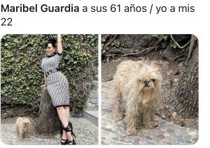 Memes perrito de Maribel Guardia