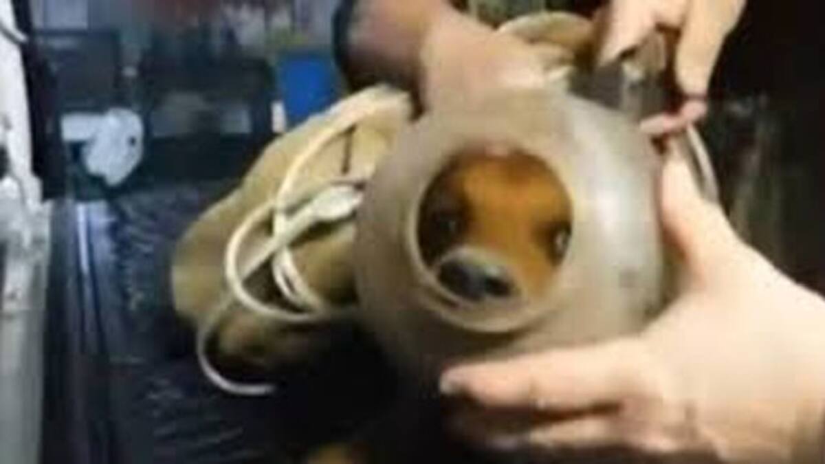 De lo malo, algo bueno...