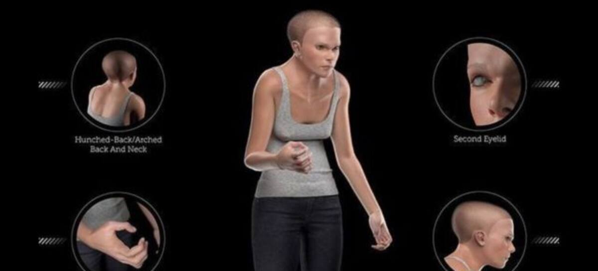 Así serán los humanos