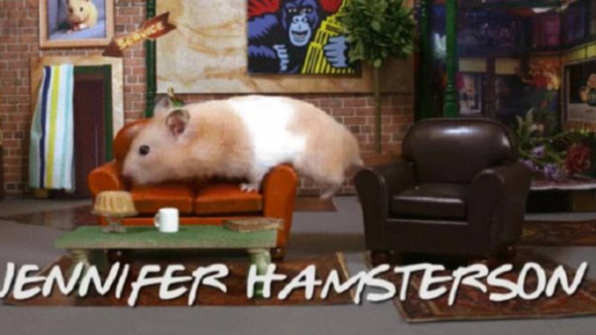 Hicieron la entrada de "Friends" versión hámster