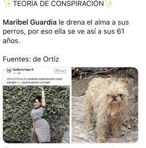 Memes perrito de Maribel Guardia