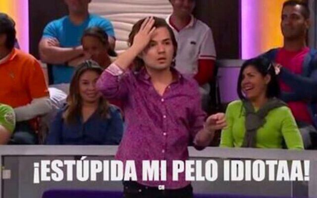 Estúpida mi pelo idiota meme