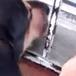 Perrito pide dinero para comprar comida en una tienda