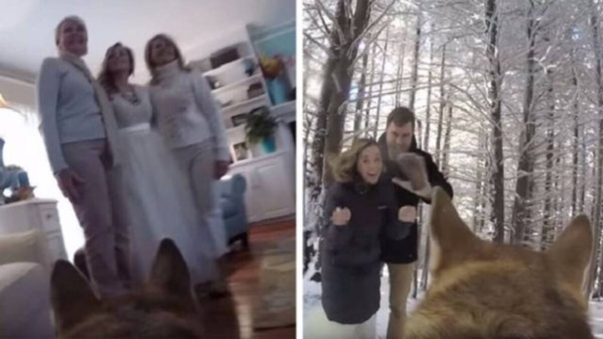 Ellos dejaron que su perro grabara su boda
