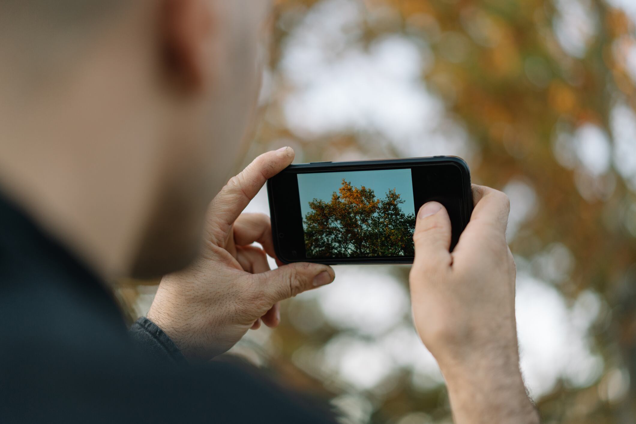 Fotografías digitales