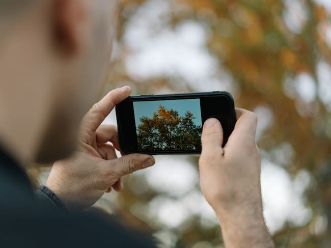 Fotografías digitales