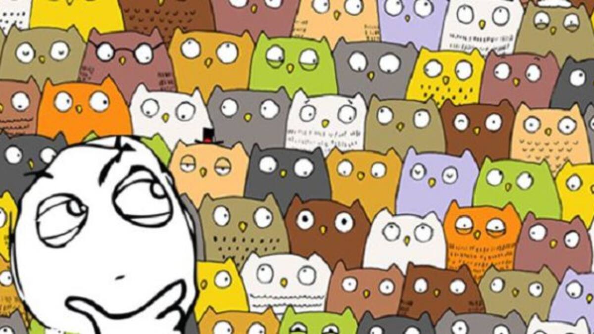 Si fuiste rápido con el panda, ahora ¡Encuentra al gato!