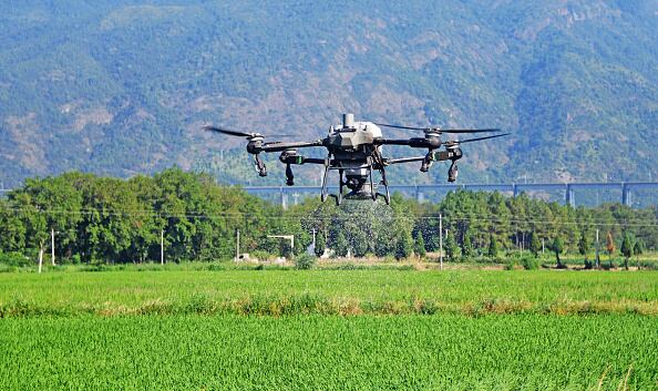 Drones para reforestar zonas afectadas de Michoacán