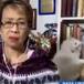 Estalla pelea de gatos detrás de reportera en transmisión en vivo