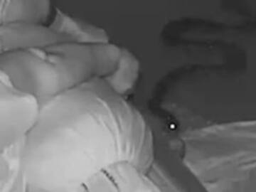 Serpiente ataca a una mujer mientras duerme