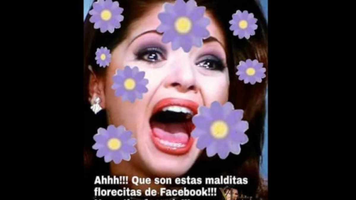 Los mejores memes de la flor morada de Facebook