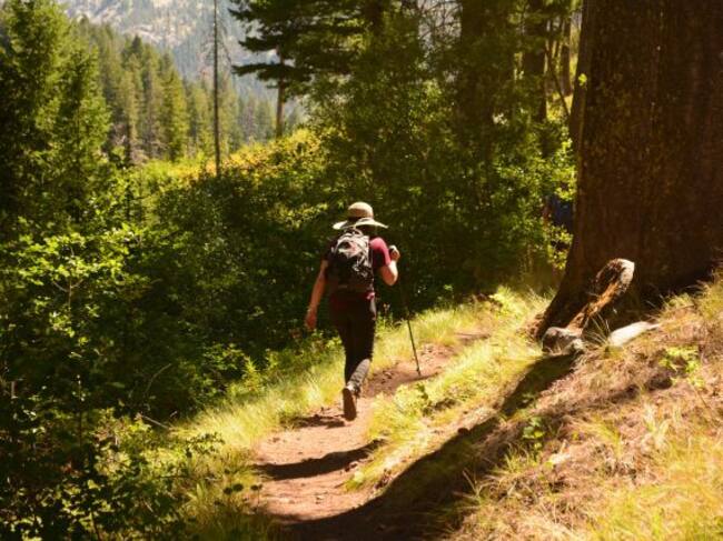 Una dosis de bosque para sanar