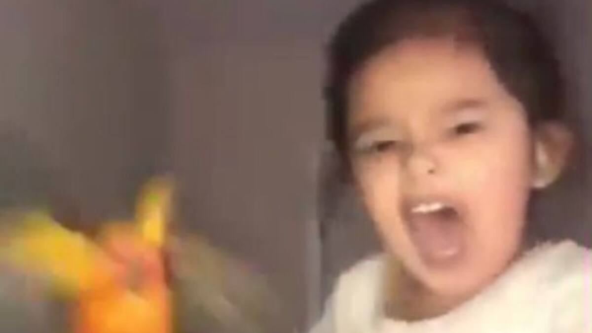 Niña entrenó a su pajarito para atacar cuando ella lo decida