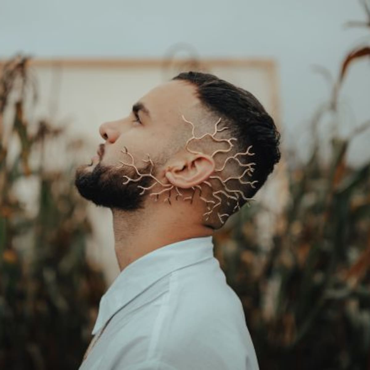 Taylor Díaz presenta IXI'IM