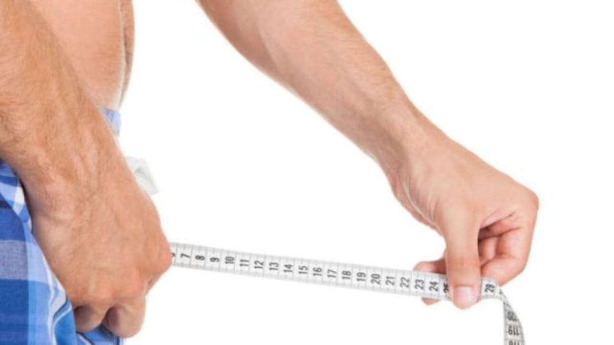 Cuál es el tamaño ideal del miembro masculino