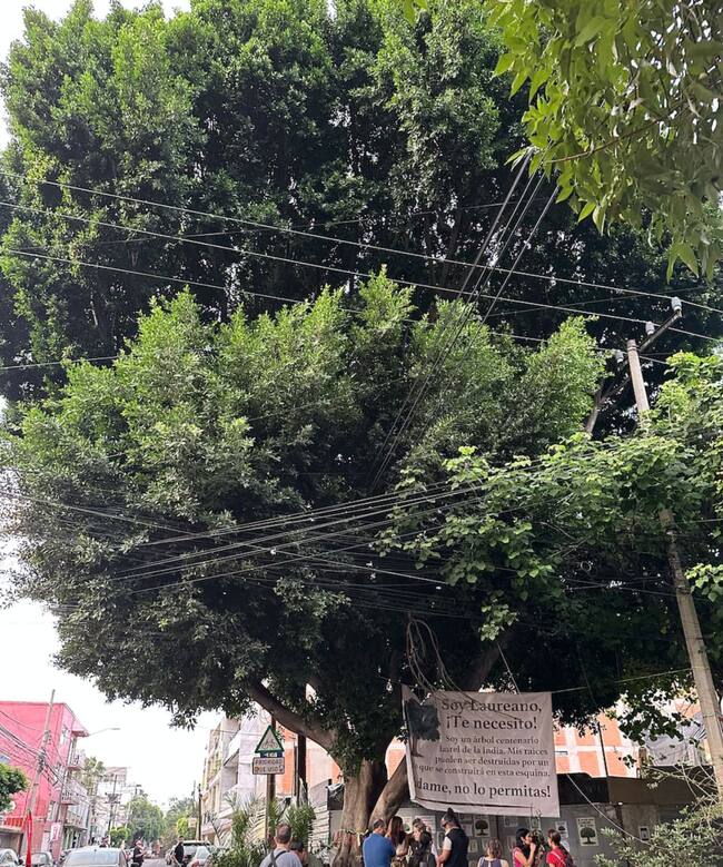 Laureano ahora es Patrimonio Natural de la Ciudad de México