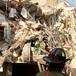 Famosos que donaron a México tras el sismo